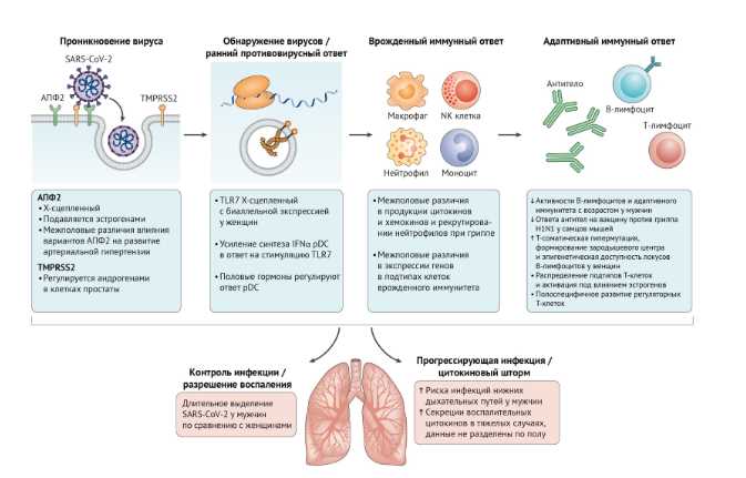 Генетический контроль адаптивного иммунного ответа: ключевые механизмы и роли