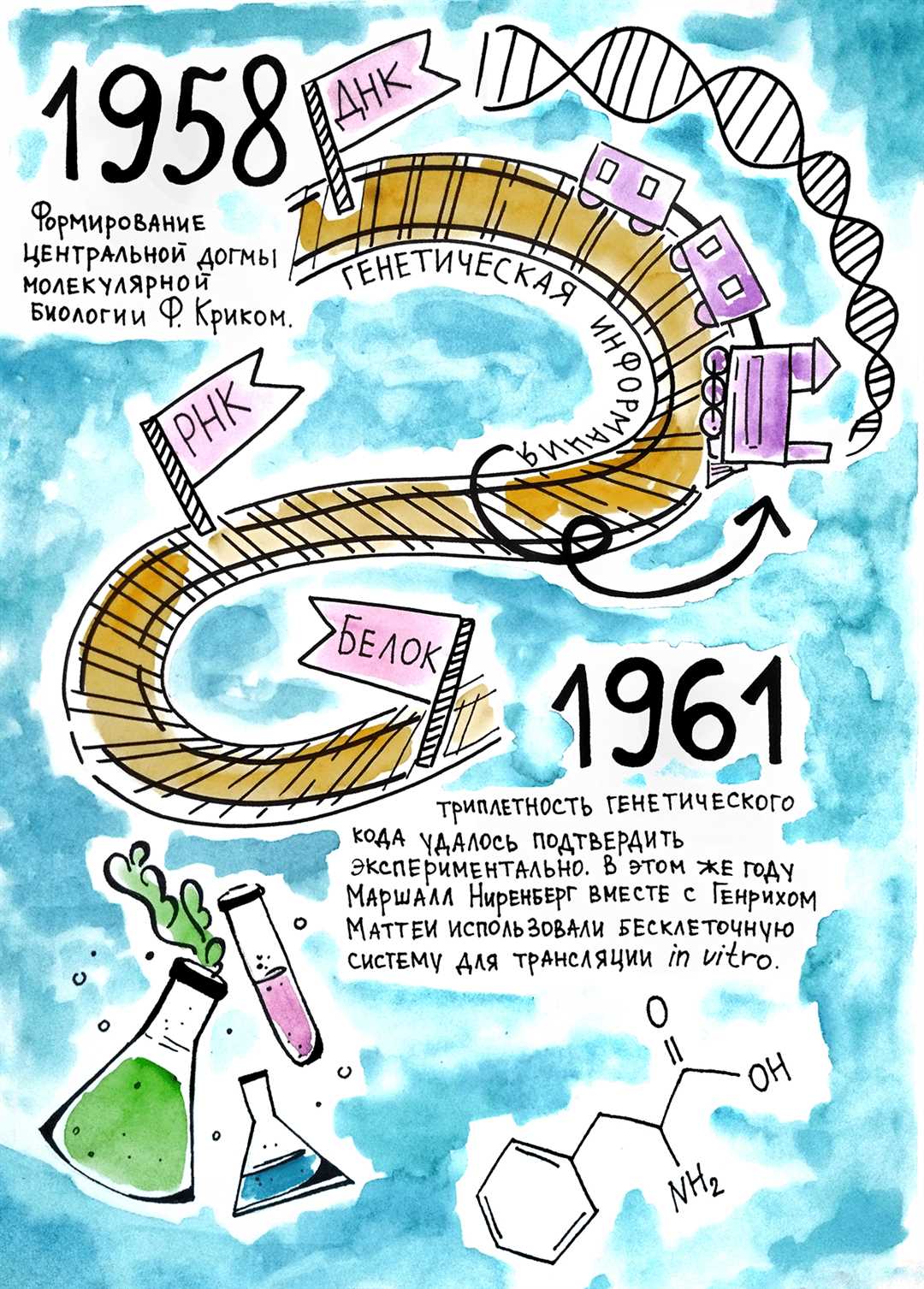 Открытие ДНК и его структура