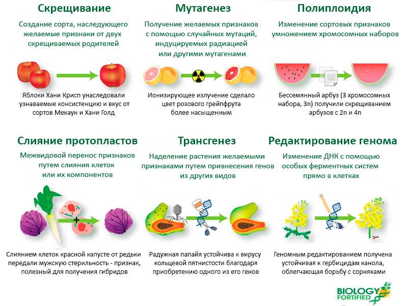 Молекулярные механизмы в разных типах рака