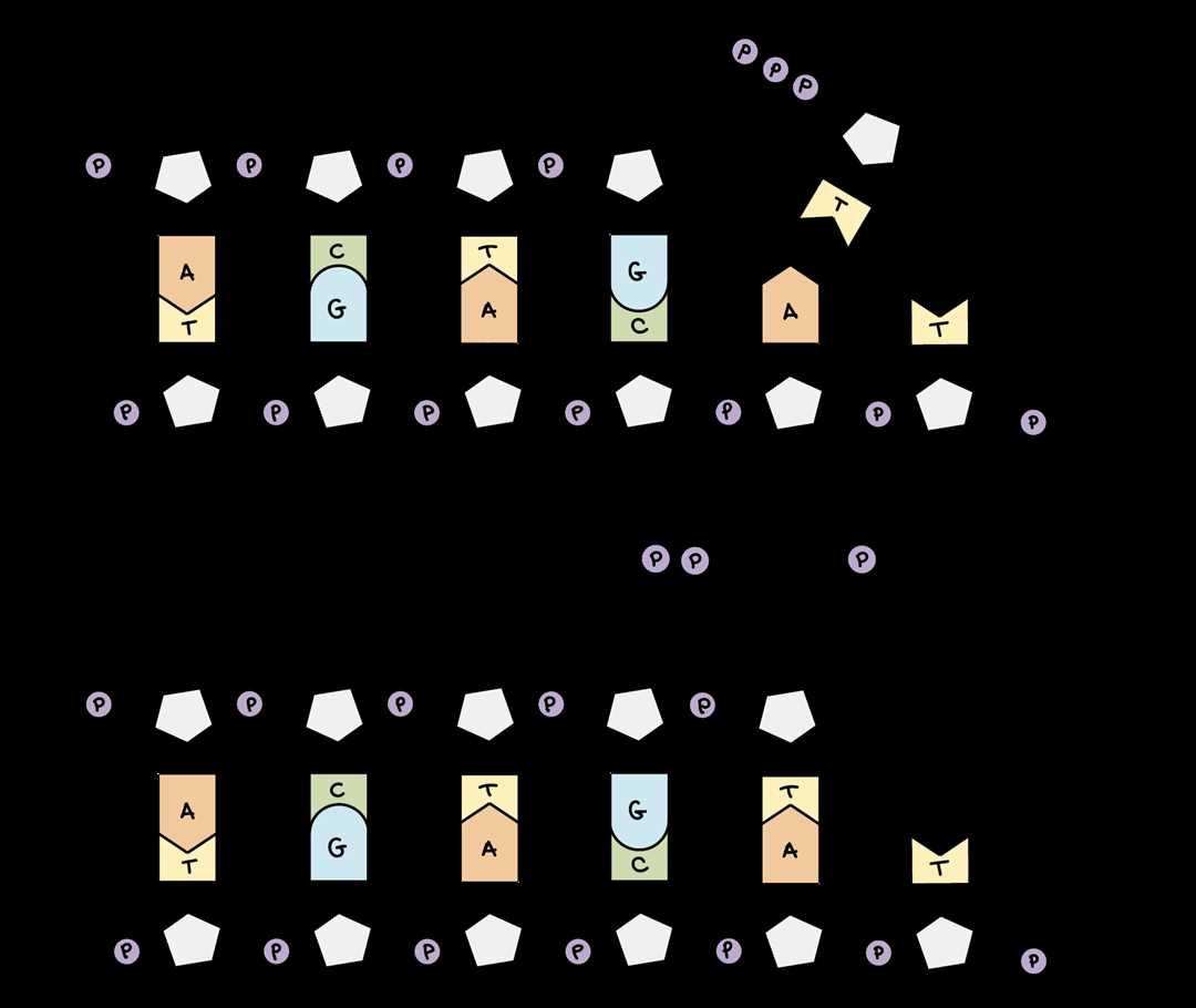 Прокариотическая репликация ДНК