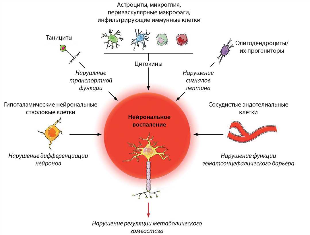 Факторы, влияющие на нарушение иммунного гомеостаза