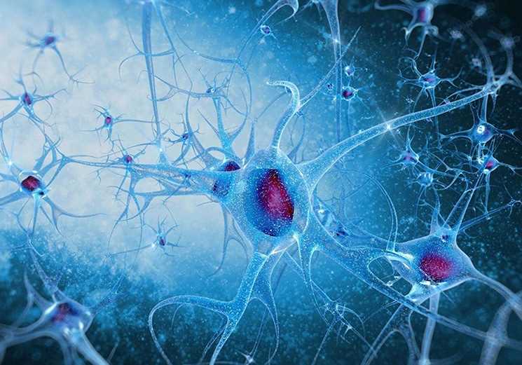 Причины формирования нейродегенеративного прионного заболевания