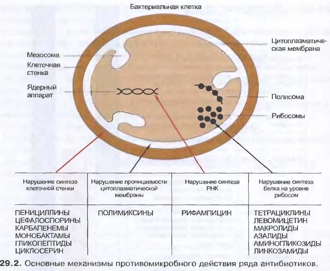 Похожие исследования в клинической медицине