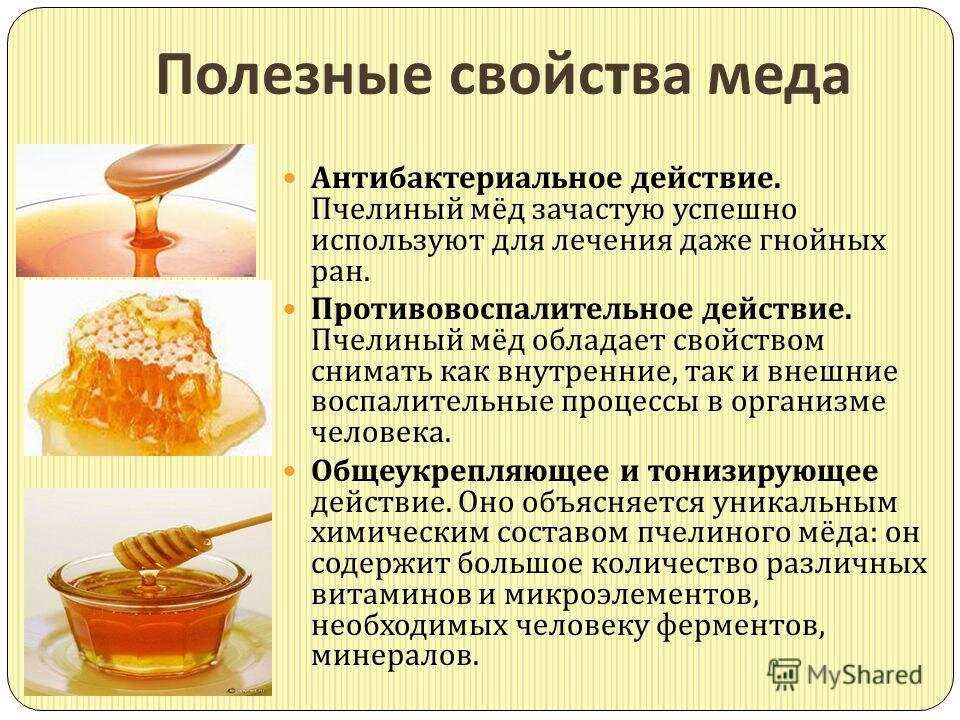 Польза меда при бактериальной инфекции — эффективность, применение и преимущества использования