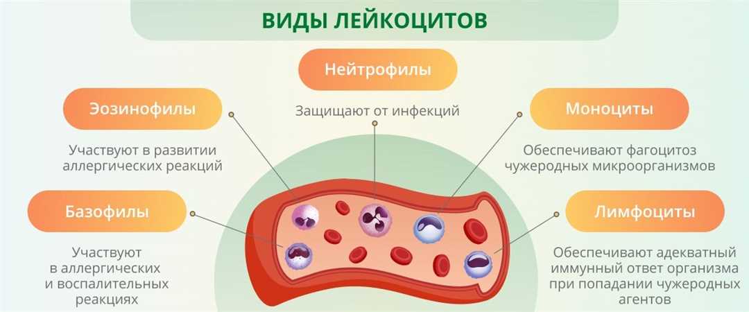 Моноциты и бактериальные инфекции