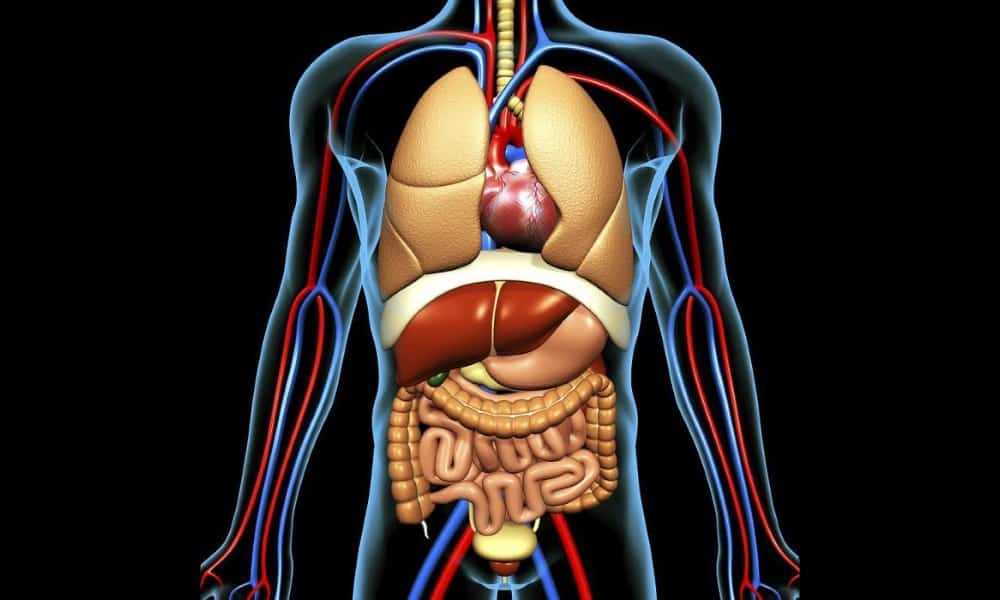 Повреждение тканей и органов: причины, симптомы и лечение