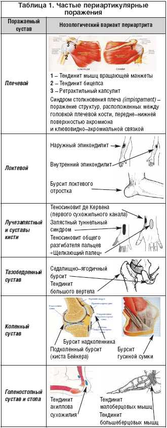 Классификация грибкового повреждения стоп и ногтей