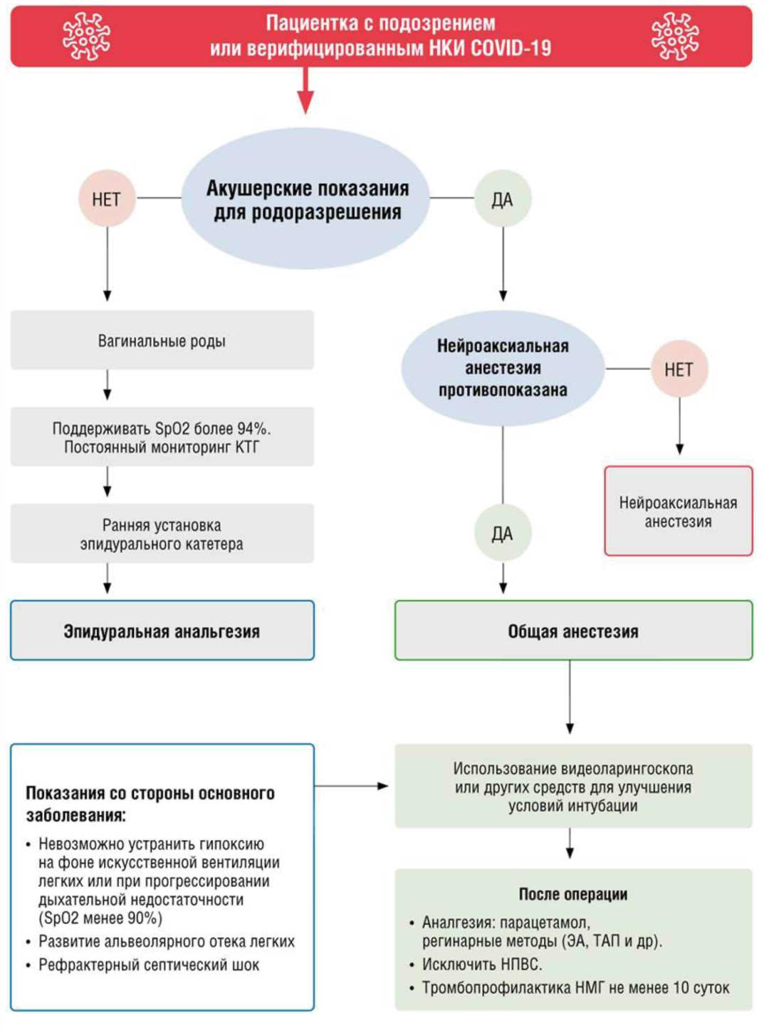 Основные этапы проведения ПЦР-диагностики бактериальных инфекций