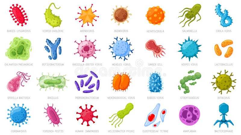 Ротавирус: бактериальная инфекция или вирусная?