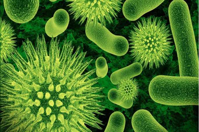 Признаки наличия бактериальной инфекции у человека